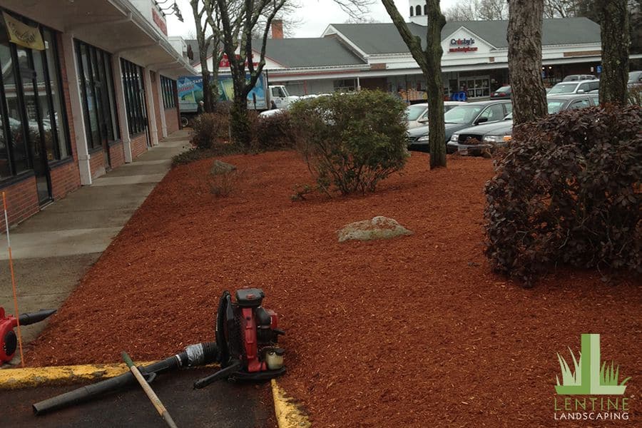 Mulching and Eging by Lentine Landscaping